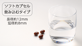Wのひらめき 90粒