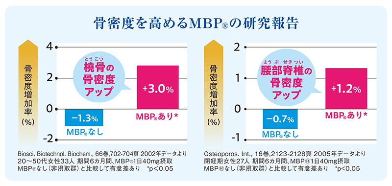 MBP摂取による骨密度の変化を示す研究報告。橈骨はなし−1.3％・あり＋3.0％、腰部脊椎はなし−0.7％・あり＋1.2％。