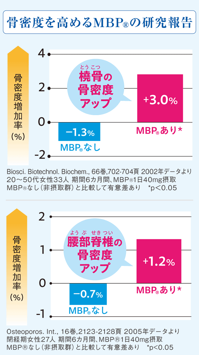 MBP摂取による骨密度の変化を示す研究報告。橈骨はなし−1.3％・あり＋3.0％、腰部脊椎はなし−0.7％・あり＋1.2％。
