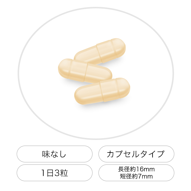 （新）ガセリ菌SP株 カプセル 90粒