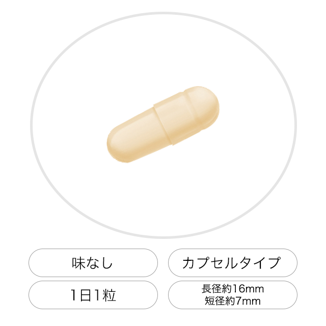目鼻ケア 乳酸菌ヘルベ 30粒