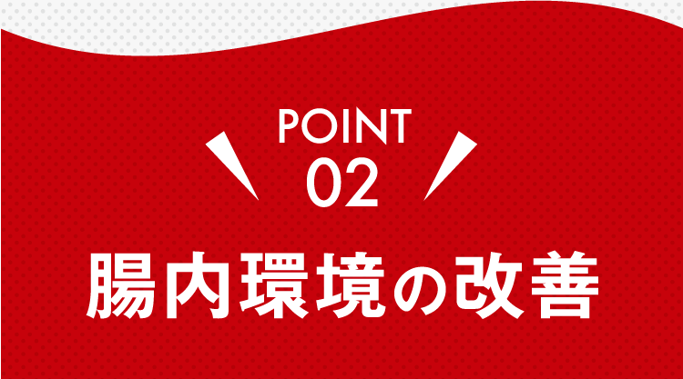 POINT02