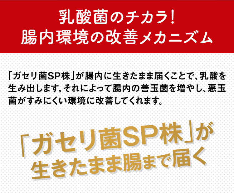 乳酸菌のチカラ！腸内環境の改善メカニズム