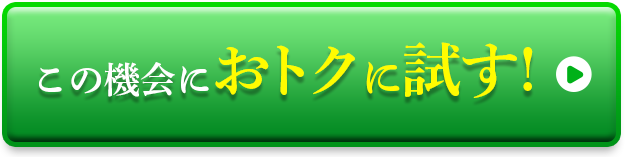 980円でおトクにお試し!