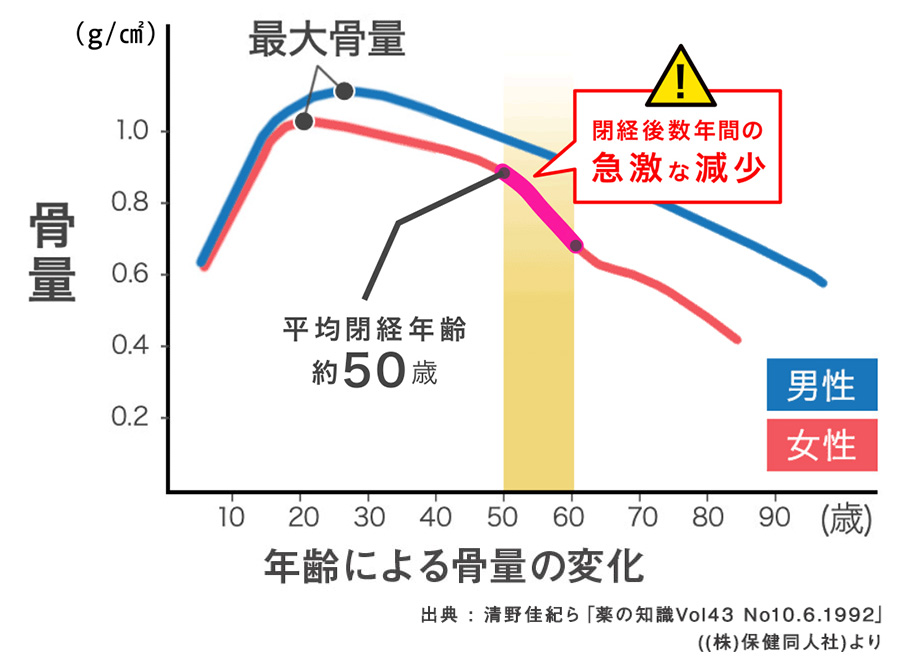 年齢による骨量の変化