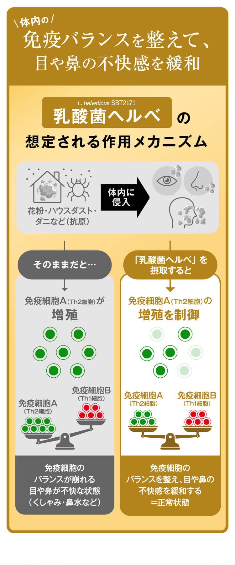 目鼻ケア 乳酸菌ヘルべ｜花粉やハウスダストなどによる目や鼻の不快感に｜雪印メグミルクダイレクト