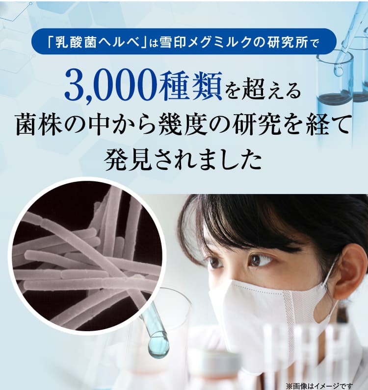 3,000種類を超える菌株の中から幾度の研究を経て発見されました