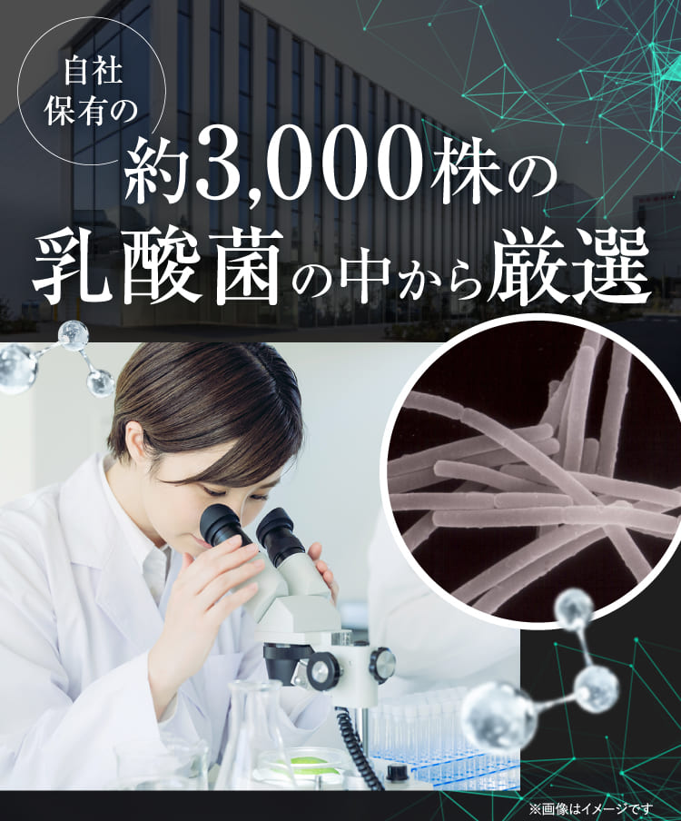 約3,000株の乳酸菌の中から厳選