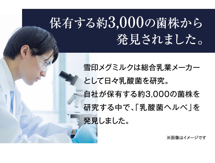 保有する約3,000の菌株から発見されました。